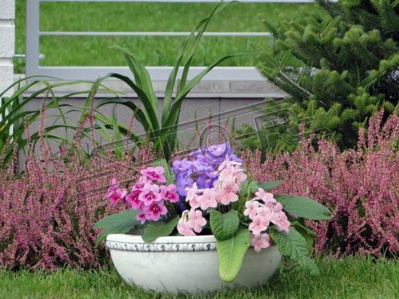 Blumenkorb Blumen Figuren Vase GefÃ¤ss Garten Terrasse Dekoration Statue