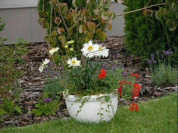 Blumenkorb Blumen Vase GefÃ¤ss Garten Terrasse Dekoration Statue Figuren