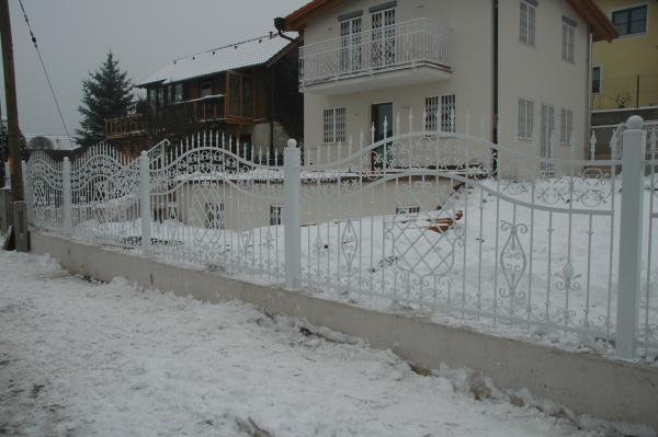 Aussen Garten Barock Rokoko Zaun Klassisch GelÃ¤nder Zaun Schmiedeeisen 1lfm 206