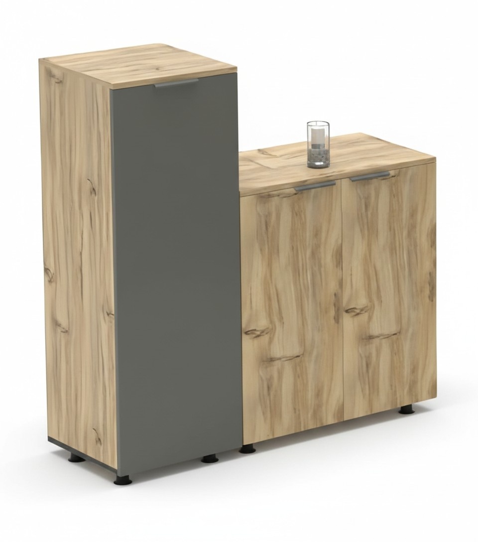 Arbeitszimmer Aktenschrank Schrank Doppelt Hochschrank Holz Kommode