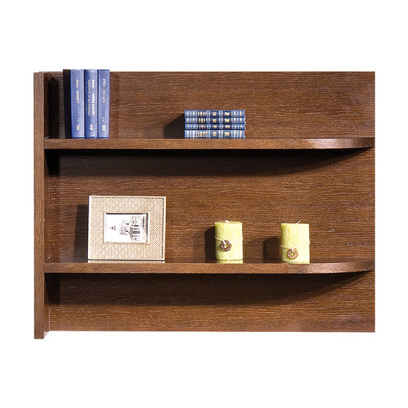 Klassisches Designer Regal Wandregal Regalsystem BÃ¼cherregal Model
