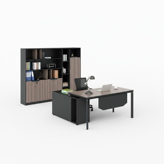Aktenschrank BÃ¼cherregal Regale Schrank Luxus Deko BÃ¼ro MÃ¶bel SchrÃ¤nke