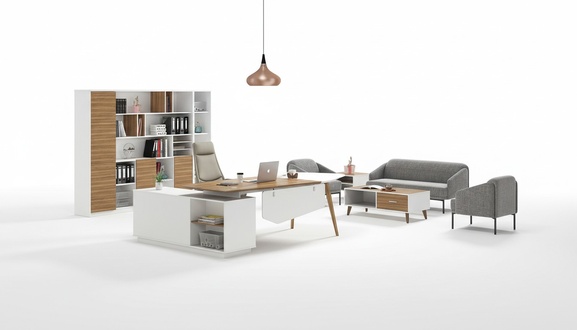 Aktenschrank BÃ¼cherregal Regale Schrank Deko Luxus BÃ¼ro MÃ¶bel SchrÃ¤nke
