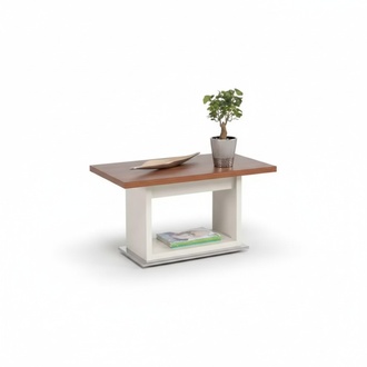 Brauner Couchtisch Holztisch Mit Ablage Braun Exklusive Wohnzimmer MÃ¶bel