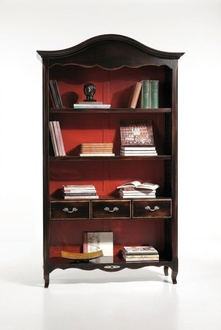 BÃ¼cherregal Vitrine Vitrinenschrank Klassischer Schrank BÃ¼cherschrank Holz