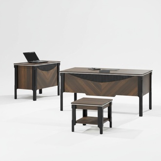 BÃ¼roassistentin BÃ¼roorganisatorin BÃ¼roschrank Schrank Holz BÃ¼ro Kommode