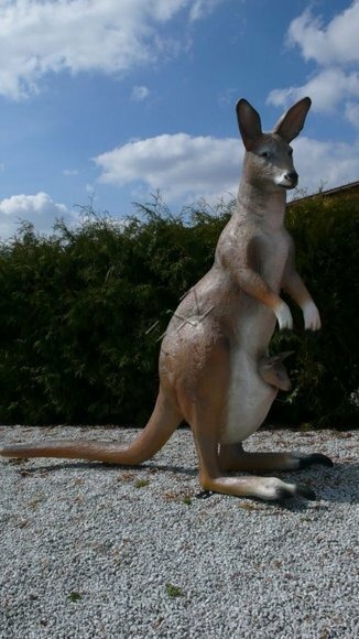 Design KÃ¤nguruAustralien Neu Statue Skulptur Figuren Skulpturen