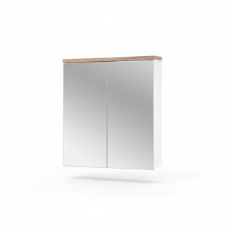 Spiegelschrank Badezimmerschrank Badspiegel 60x20x70 cm SchrÃ¤nke