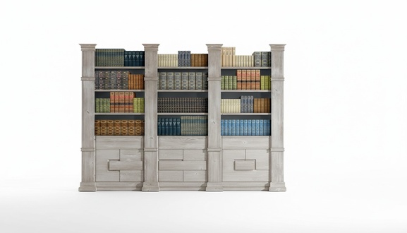 Klassisch Regal Wandregal BÃ¼cherschrank BÃ¼cherregal Wohnwand Wohnzimmer