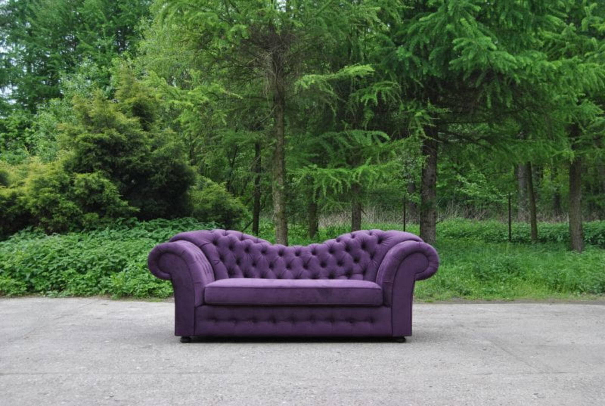 Artikel Bild