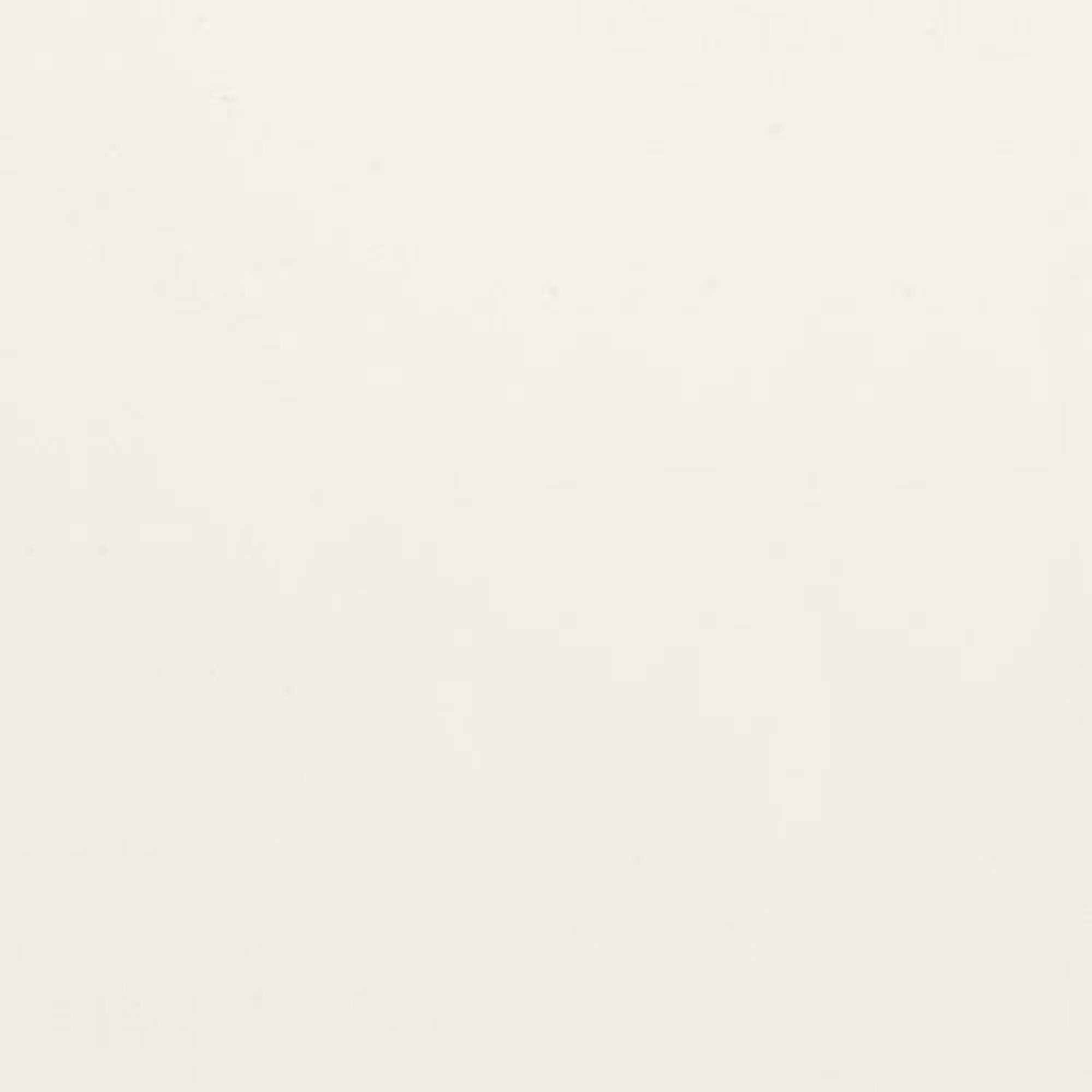 Artikel Bild