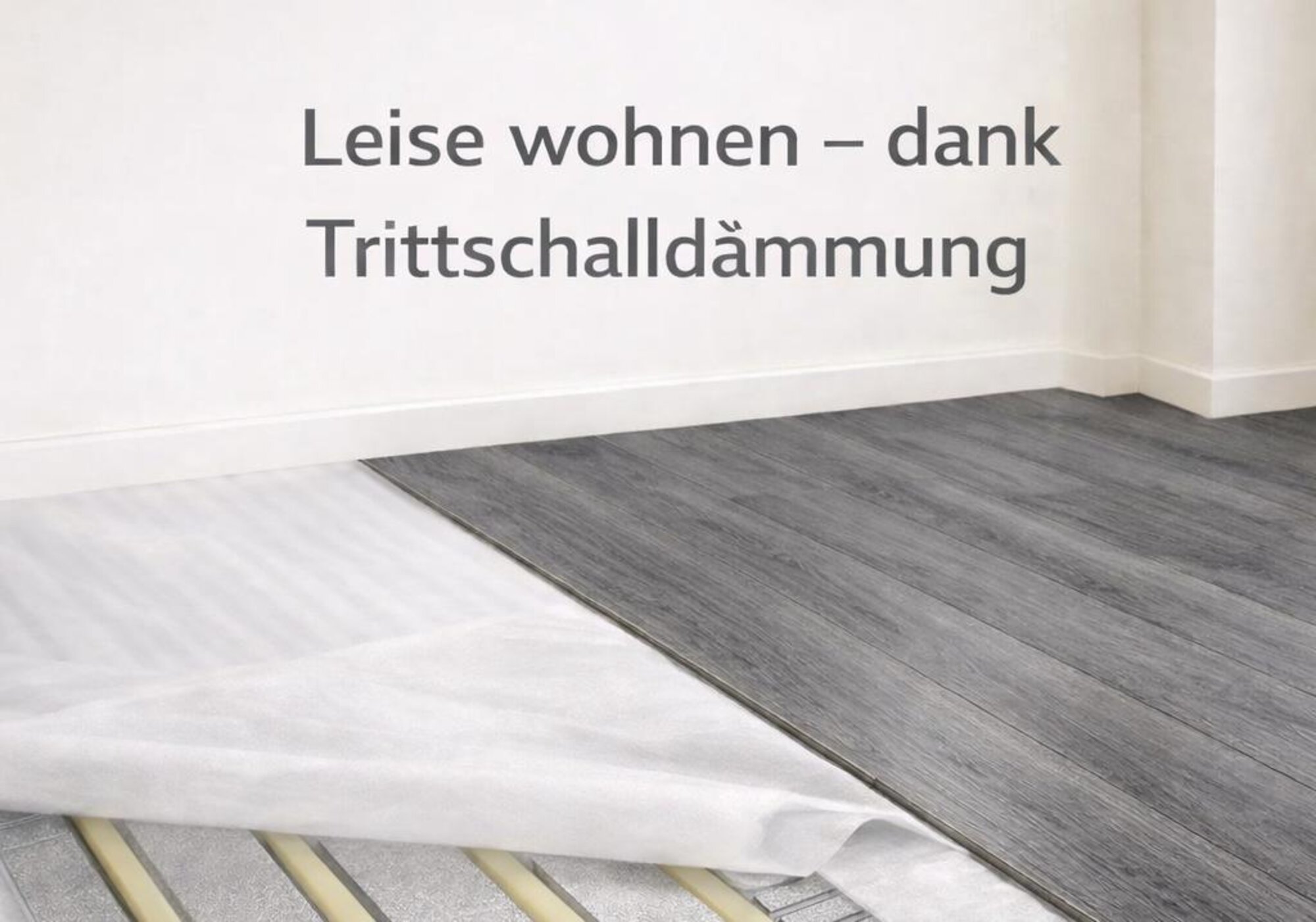 Artikel Bild